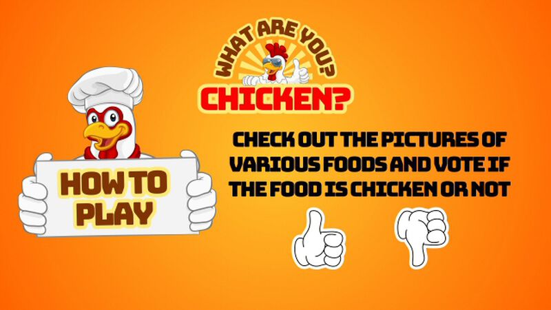 What Are You? Chicken?